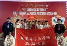 武风凛凛，龙狮啸天傲赛场