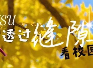 偷偷告诉你！校园缝隙中藏着小美好！