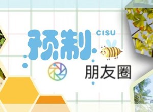 什么？朋友圈也可以预制？