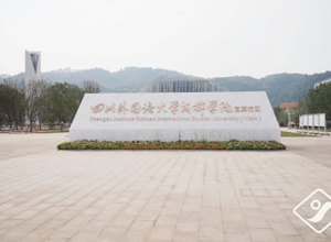 四川外国语大学成都学院宜宾校区（一期）外立面效果呈现